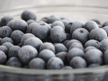 画像をギャラリービューアに読み込む, 子供のおやつにも!そのままおいしい大粒冷凍ブルーベリー|Blueberry Farm SUZUKI(ブルーベリーファームスズキ)