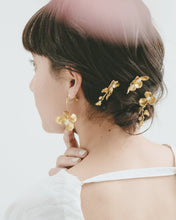 画像をギャラリービューアに読み込む, blossom|felice(フェリーチェ)