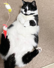 画像をギャラリービューアに読み込む, 花畑でお昼寝するねこたちの首飾り (ミミ・ぐり)|maltamarie(マルタマリエ)