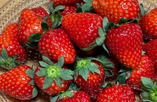 画像をギャラリービューアに読み込む, 苺ショコラ(まるごと苺ショコラ)|バルスタック