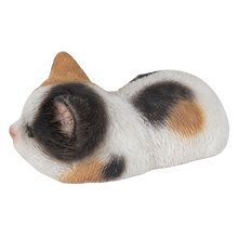 画像をギャラリービューアに読み込む, うつぶせ三毛猫|WooBia(ウービア)