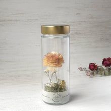 画像をギャラリービューアに読み込む, ラナンキュラスのボトルフラワー|Infini(アンフィニ)