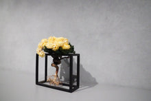 画像をギャラリービューアに読み込む, re盆栽86|TOUFU TOKYO(トウフトウキョウ)