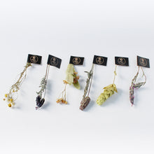 画像をギャラリービューアに読み込む, スルタン ソリマン ハーブティー 6種入り+マグカップセット|LE BÉNÉFIQUE(ル ベネフィック)