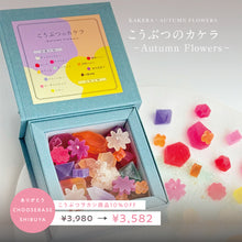 画像をギャラリービューアに読み込む, 〔期間限定〕 こうぶつのカケラ ~Autumn flowers~|ハラペコラボ
