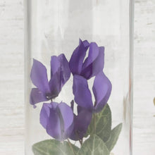 画像をギャラリービューアに読み込む, シクラメンのボトルフラワー|Infini(アンフィニ)