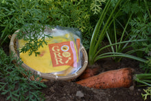 画像をギャラリービューアに読み込む, 人参スープ|season soup GORORI(シーズンスープゴロリ)