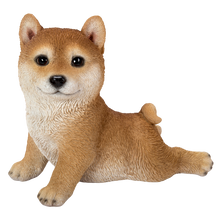 画像をギャラリービューアに読み込む, ストレッチ柴犬|WooBia(ウービア)