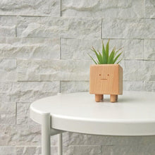 画像をギャラリービューアに読み込む, 木製ミニ植木鉢(植木ポット)ボーちゃん|TOSMU(トスム)