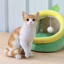 画像をギャラリービューアに読み込む, 右向きお座り茶トラ白猫(中)|WooBia(ウービア)