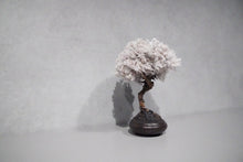 画像をギャラリービューアに読み込む, re盆栽91|TOUFU TOKYO(トウフトウキョウ)