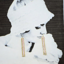 画像をギャラリービューアに読み込む, Ladder|neko(ネコ)