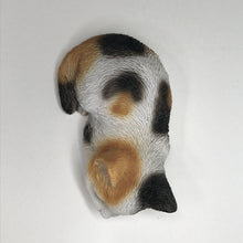 画像をギャラリービューアに読み込む, うつぶせ三毛猫|WooBia(ウービア)