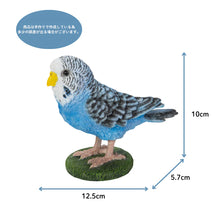 画像をギャラリービューアに読み込む, 揺れる青いセキセイインコ|WooBia(ウービア)