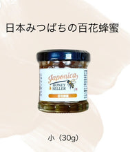 画像をギャラリービューアに読み込む, 日本在来種みつばちの蜂蜜|日本在来種みつばちの蜂蜜(ニホンザイライシュミツバチノハチミツ)