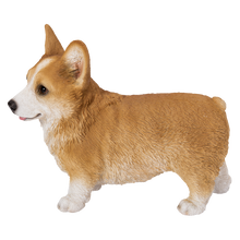 画像をギャラリービューアに読み込む, 左向きに立つウェルシュコーギー|WooBia(ウービア)
