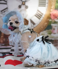 画像をギャラリービューアに読み込む, プリンセスわんダーランド♡サスペンダースカート|Fancy Petit Honey(ファンシープチハニー)
