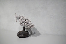 画像をギャラリービューアに読み込む, re盆栽90|TOUFU TOKYO(トウフトウキョウ)