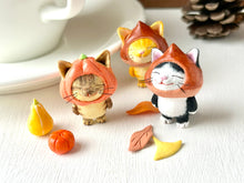 画像をギャラリービューアに読み込む, カボチャをかぶった猫さん(キジトラ)|手ノヒラ堂(テノヒラドウ)