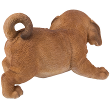 画像をギャラリービューアに読み込む, かまえるダックスフンドの子犬|WooBia(ウービア)