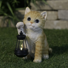 画像をギャラリービューアに読み込む, ソーラーランプを右手で持ち上げる茶トラ猫|WooBia(ウービア)