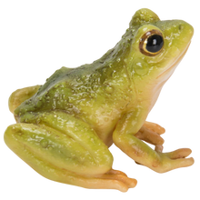画像をギャラリービューアに読み込む, 二ホンアマガエル|WooBia(ウービア)