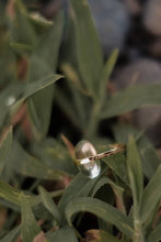 画像をギャラリービューアに読み込む, SCENT(frR-12)|Forest percent(フォレストパーセント)