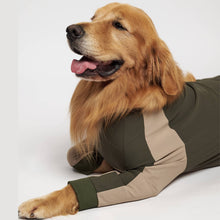 画像をギャラリービューアに読み込む, GO DOG ROMPERS|THEDAY TOKYO(ザデイトウキョウ)