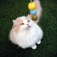 画像をギャラリービューアに読み込む, コロコロボールの猫じゃらし トリプルボール FRESH|necono(ネコノ)