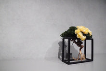 画像をギャラリービューアに読み込む, re盆栽86|TOUFU TOKYO(トウフトウキョウ)