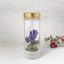 画像をギャラリービューアに読み込む, シクラメンのボトルフラワー|Infini(アンフィニ)