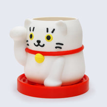 画像をギャラリービューアに読み込む, まねき猫ポット|node(ノード)