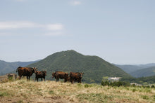 画像をギャラリービューアに読み込む, Tajima Cowhide スマートフォンポーチ|D.L.P.(ディーエルピー)