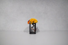 画像をギャラリービューアに読み込む, re盆栽89|TOUFU TOKYO(トウフトウキョウ)