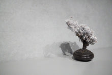 画像をギャラリービューアに読み込む, re盆栽90|TOUFU TOKYO(トウフトウキョウ)