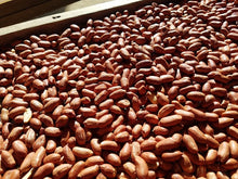 画像をギャラリービューアに読み込む, 素煎り|オオノ農園(オオノノウエン)