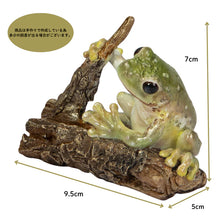 画像をギャラリービューアに読み込む, カエル名刺立て|WooBia(ウービア)