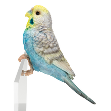 画像をギャラリービューアに読み込む, 縁飾り 水色セキセイインコ|WooBia(ウービア)