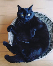 画像をギャラリービューアに読み込む, まあるい黒ネコ・チビ太のブローチ|maltamarie(マルタマリエ)