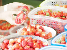 画像をギャラリービューアに読み込む, 果肉ごろごろ!いちごジャム|Blueberry Farm SUZUKI(ブルーベリーファームスズキ)