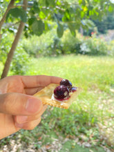 画像をギャラリービューアに読み込む, 農薬不使用栽培のブルーベリージャム310g|Blueberry Farm SUZUKI(ブルーベリーファームスズキ)