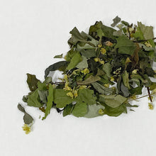 画像をギャラリービューアに読み込む, 千葉県木更津産・自然栽培 クロモジ茶/春摘み 中袋|紅茶舗サウザンドリーフ(コウチャホサウザンドリーフ)