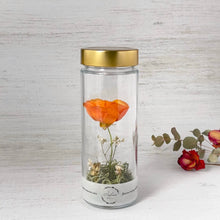 画像をギャラリービューアに読み込む, ラナンキュラスのボトルフラワー|Infini(アンフィニ)