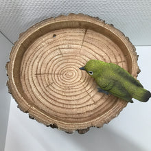 画像をギャラリービューアに読み込む, 切り株の鳥の餌入れ|WooBia(ウービア)