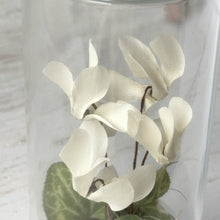 画像をギャラリービューアに読み込む, シクラメンのボトルフラワー|Infini(アンフィニ)