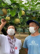 画像をギャラリービューアに読み込む, コンフィチュールギフト箱2本用|Le Café de Pomme(ルカフェドゥポム)