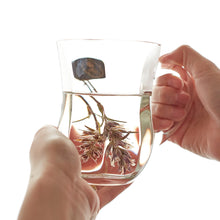 画像をギャラリービューアに読み込む, スルタン ソリマン ハーブティー 6種入り+マグカップセット|LE BÉNÉFIQUE(ル ベネフィック)