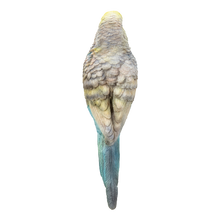 画像をギャラリービューアに読み込む, 縁飾り 水色セキセイインコ|WooBia(ウービア)