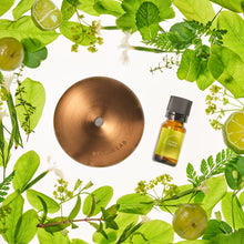 画像をギャラリービューアに読み込む, モチベーティング シトラスグリーン フレグランスオイル(10ml)|BÉLAIR LAB(ベレアラボ)