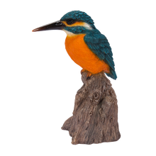 画像をギャラリービューアに読み込む, 切り株に立つ鳴くカワセミ|WooBia(ウービア)